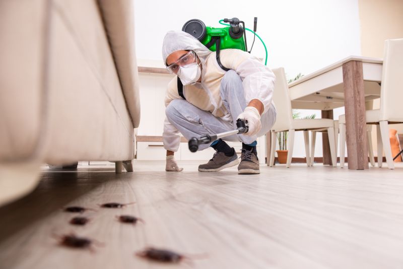 Signs You Need Professional General Pest Control Services